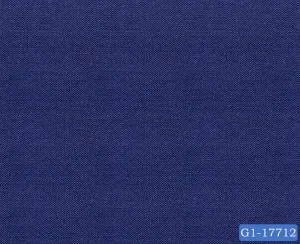 Berry Blue Plain Suit