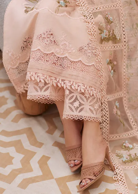 CRIMSON X SAIRA SHAKIRA PRET 2024 | Beyond the Garden