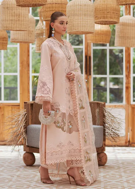 CRIMSON X SAIRA SHAKIRA PRET 2024 | Beyond the Garden