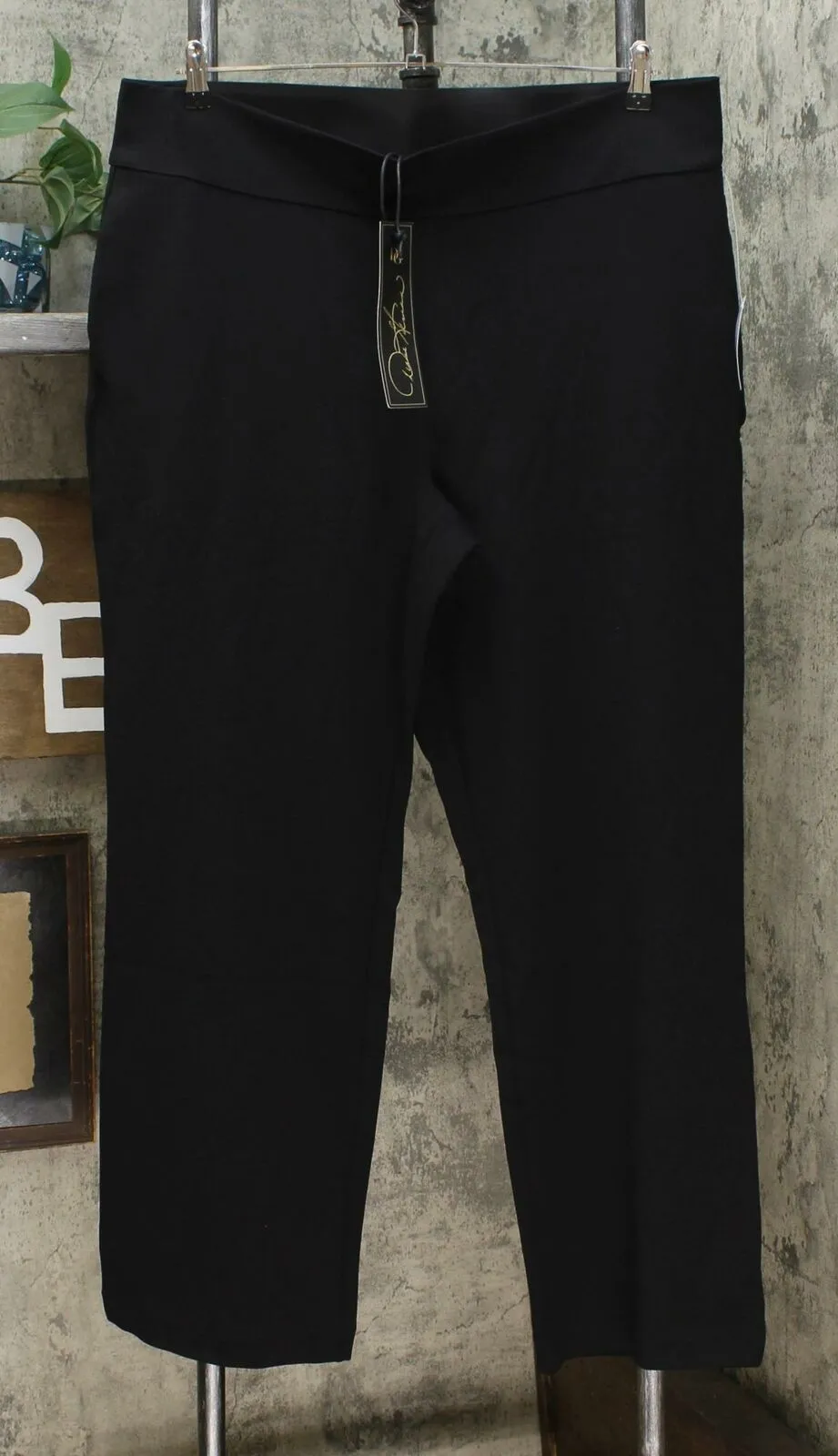 DG2 by Diane Gilman Women's Plus Size Wrinkle-Resistant Stretch Pull-On Trousers
