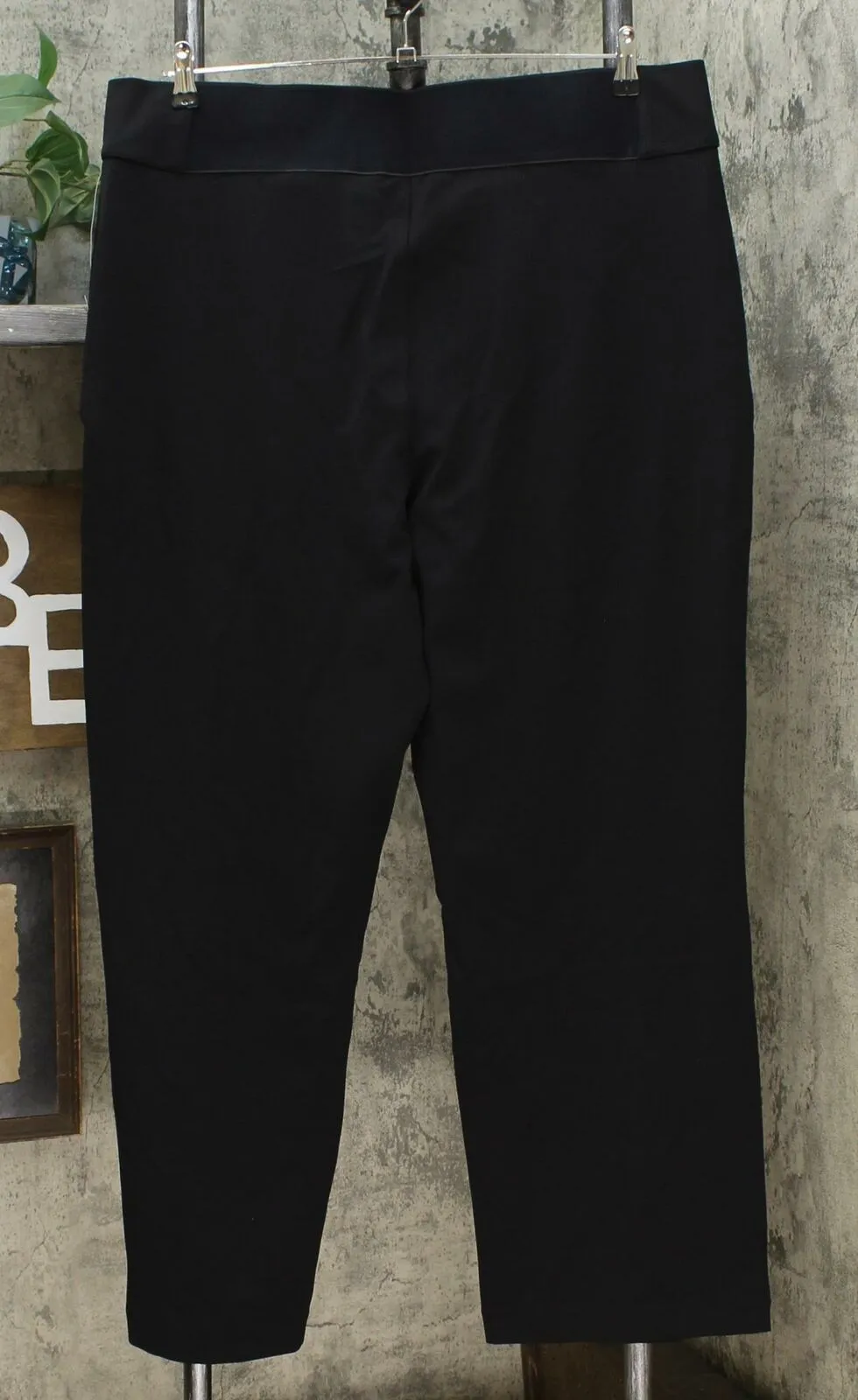 DG2 by Diane Gilman Women's Plus Size Wrinkle-Resistant Stretch Pull-On Trousers