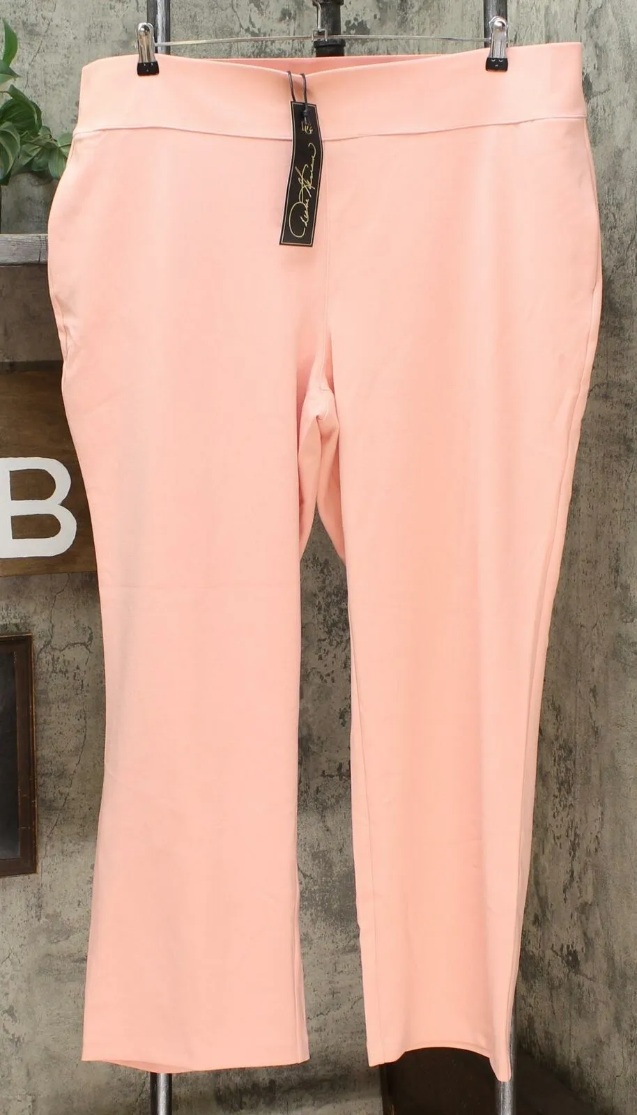 DG2 by Diane Gilman Women's Plus Size Wrinkle-Resistant Stretch Pull-On Trousers