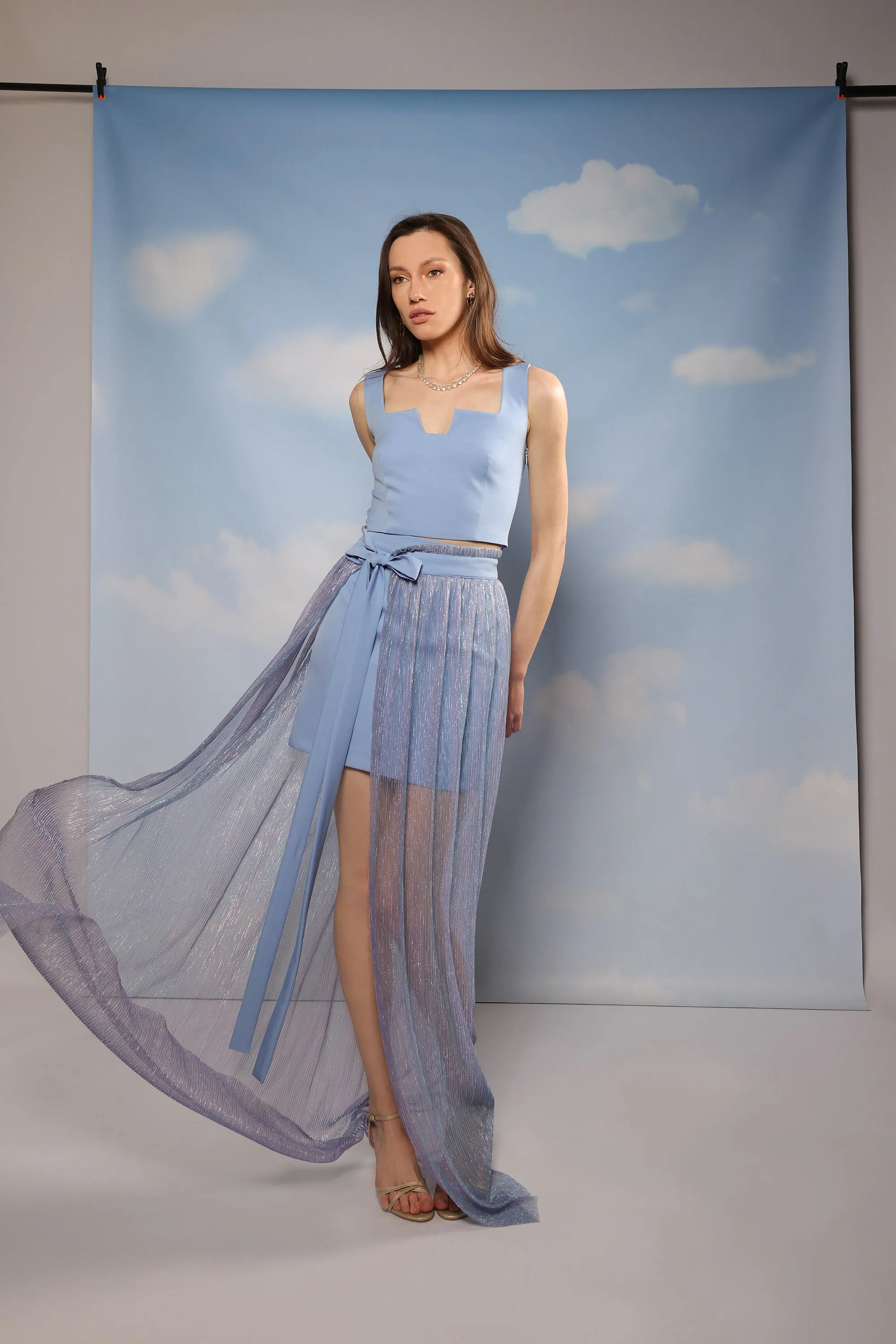Linea Skirt - Blue
