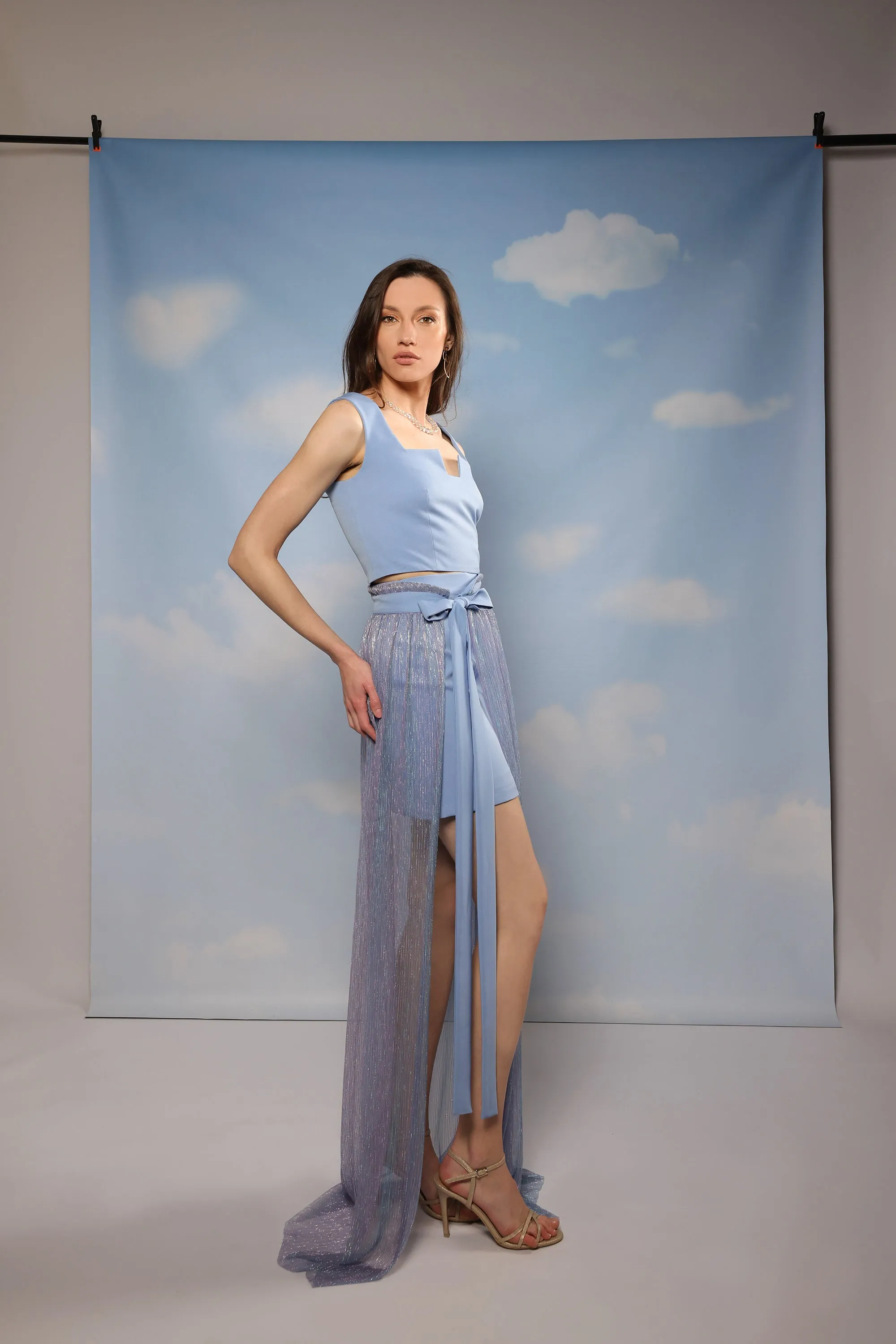Linea Skirt - Blue