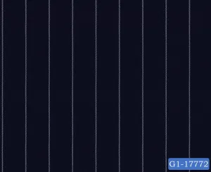 Navy Blue Stripe Suit