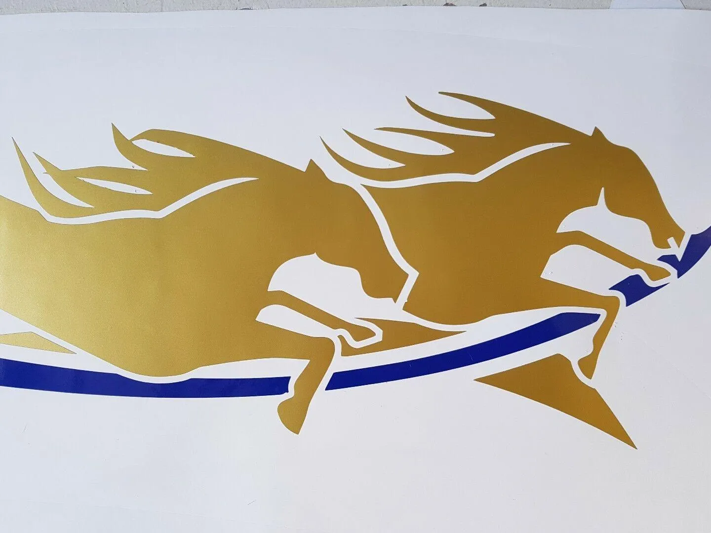 Premium Durable Vinyl Horse Float Pin Stripe Sticker Decals 1500mm x 246mm