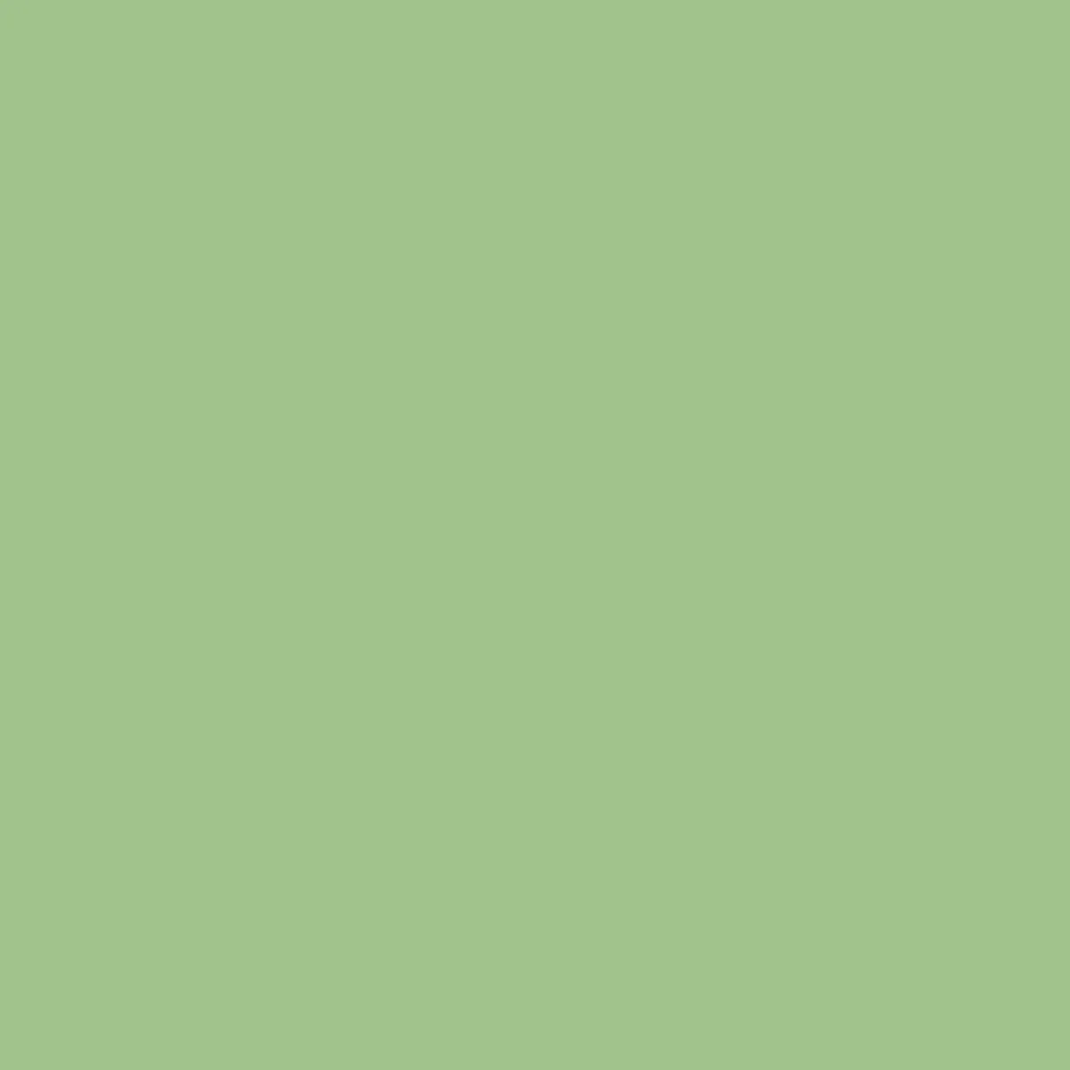 Tilda Solid Fabric | Fern Green