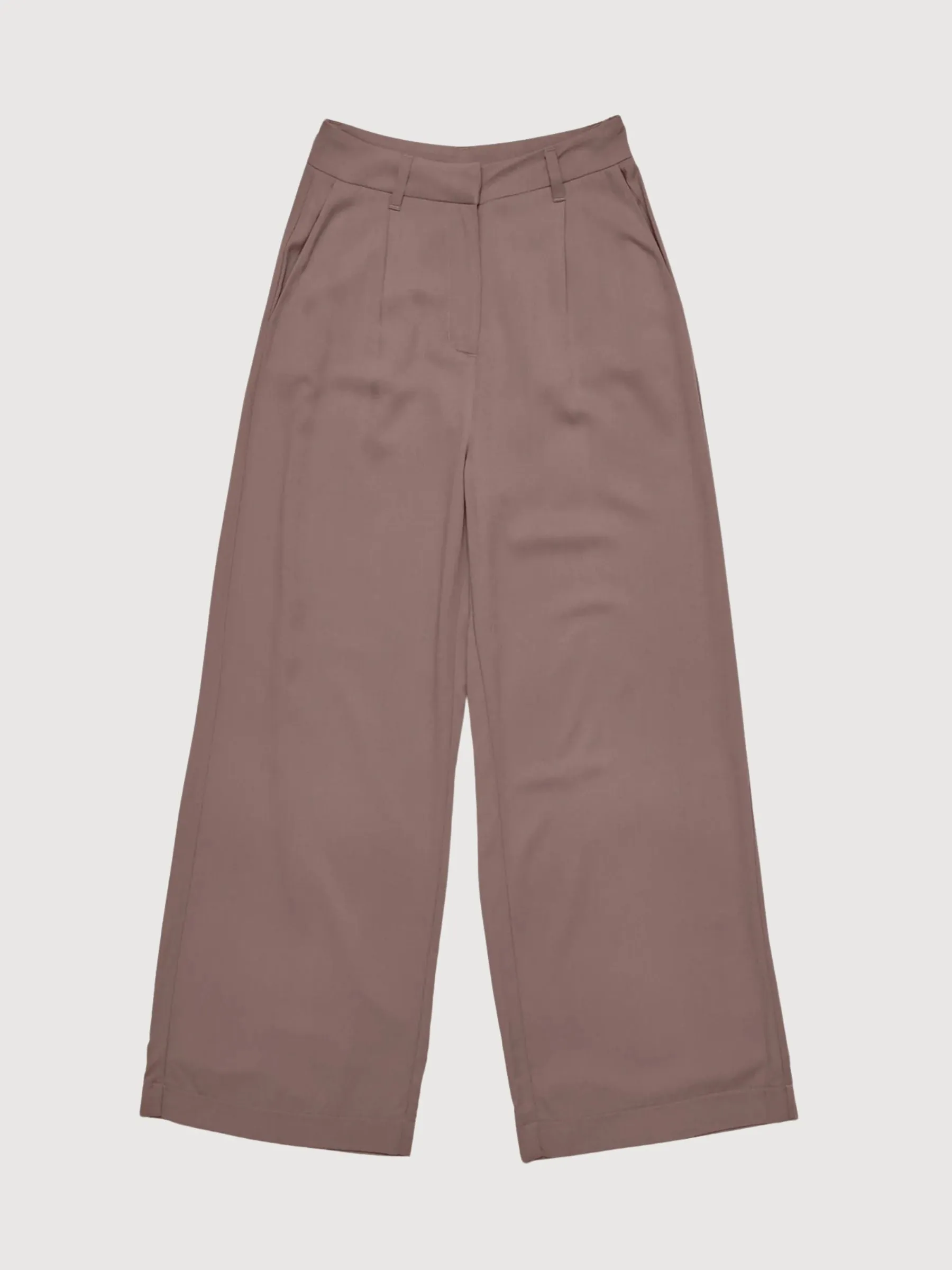 Trouser Pleated Brown Woman Viscose | Mazine